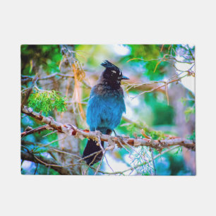 Steller's Jay - Original Photograph Doormat