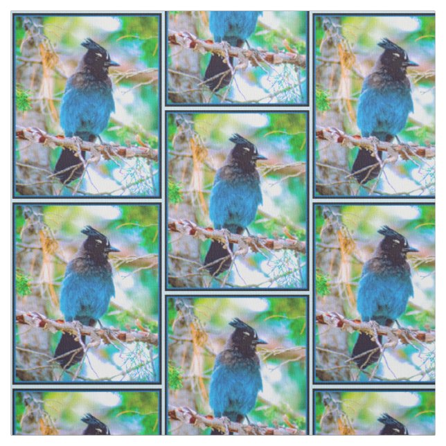 Steller's Jay - Original Photograph Fabric (Swatch)