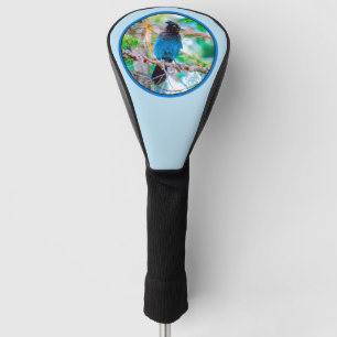 Steller's Jay - Original Photograph Golf Head Cover