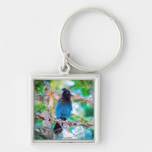 Steller's Jay - Original Photograph Keychain