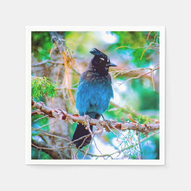 Steller's Jay - Original Photograph Napkin (Front)