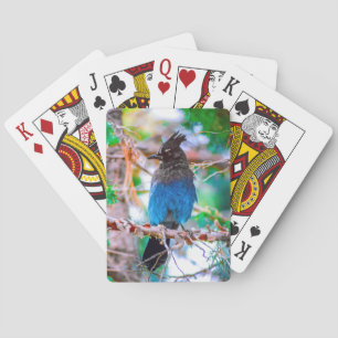 Steller's Jay - Original Photograph Playing Cards
