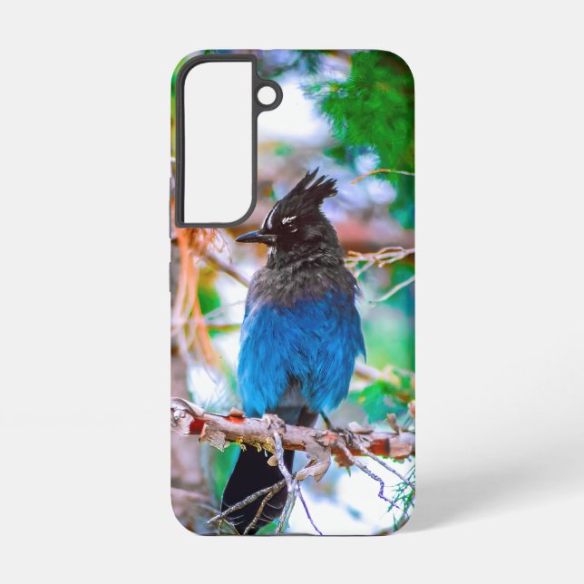 Steller's Jay - Original Photograph Samsung Galaxy S22 Case (Back)