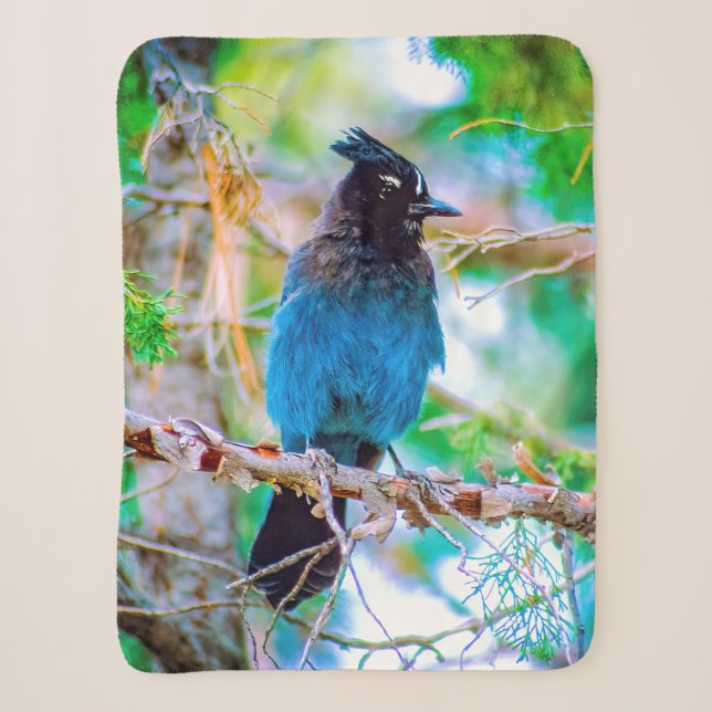 Steller's Jay - Original Photograph Sherpa Blanket (Front)