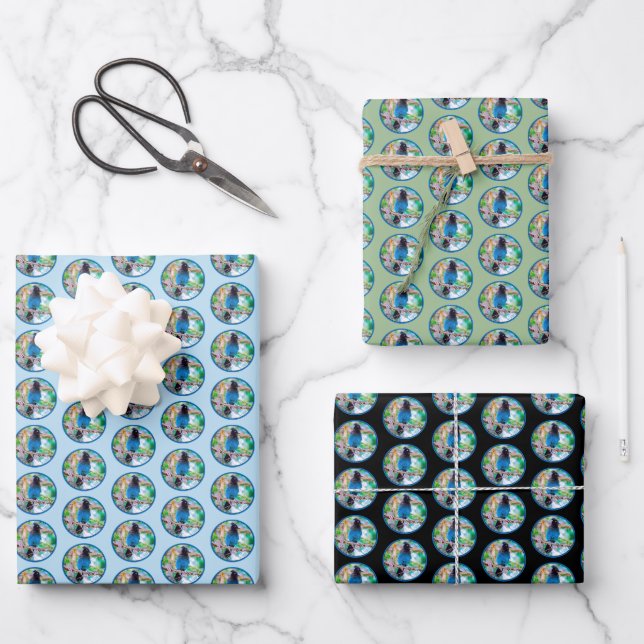 Steller's Jay - Original Photograph Wrapping Paper Sheet (Front)