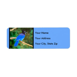 Steller's Jay Painting - Art original pour oiseaux