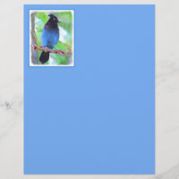 Steller's Jay Painting - Original Bird Art