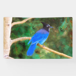 Steller's Jay Painting - Original Bird Art Banner