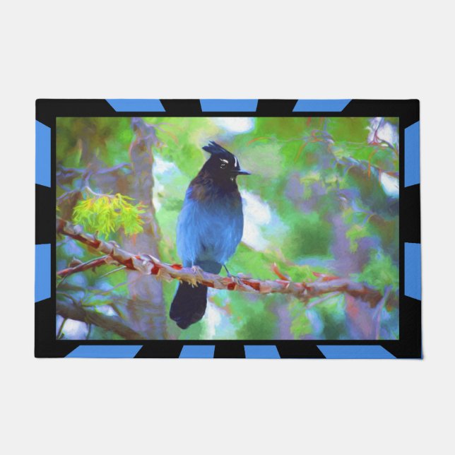 Steller's Jay Painting - Original Bird Art Doormat (Front)