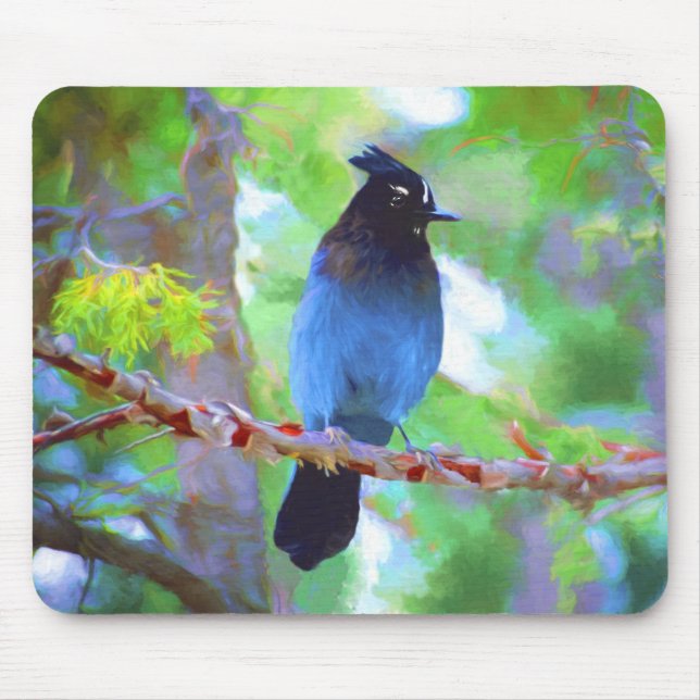 Steller's Jay Painting - Original Bird Art Mouse Pad (Front)