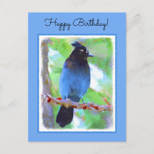 Steller's Jay Painting - Original Bird Art Postcard