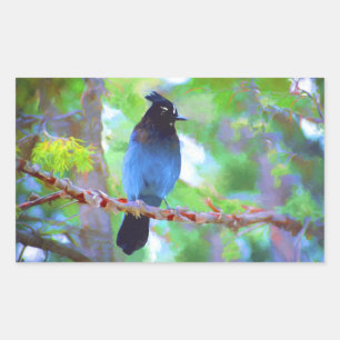 Steller's Jay Painting - Original Bird Art Sticker