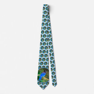 Steller's Jay Painting - Original Bird Art Tie