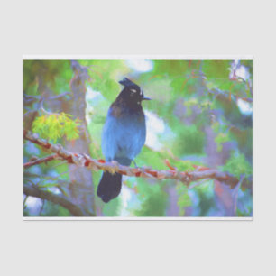 Steller's Jay Painting - Original Bird Art Tissue Paper