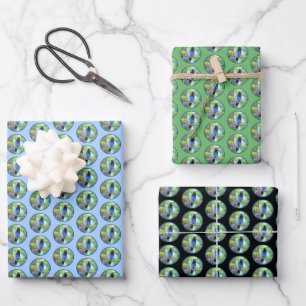 Steller's Jay Painting - Original Bird Art Wrapping Paper Sheet