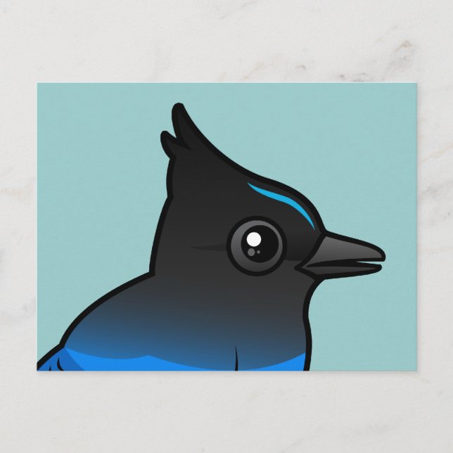 Steller's Jay Postcard (Front)