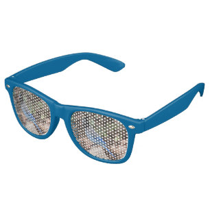 Steller's Jay Retro Sunglasses
