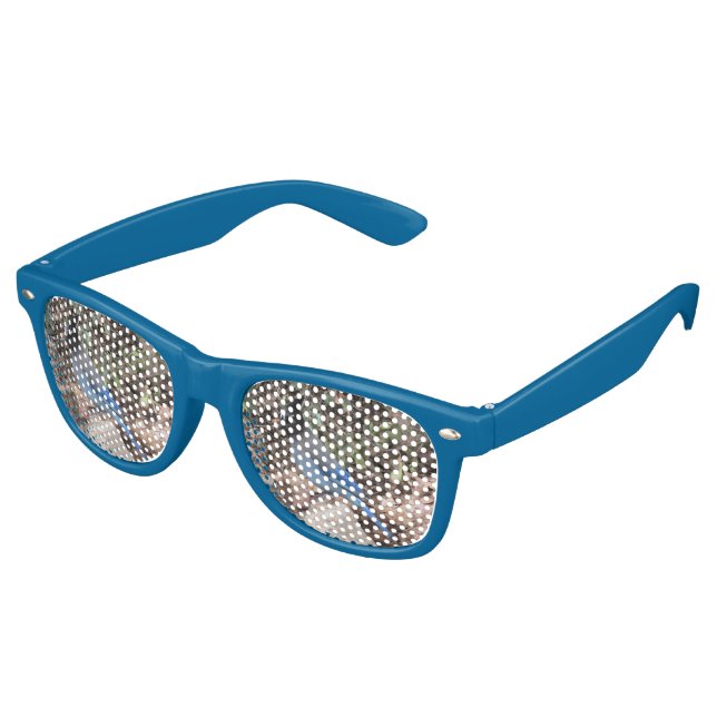 Steller's Jay Retro Sunglasses (Angled)