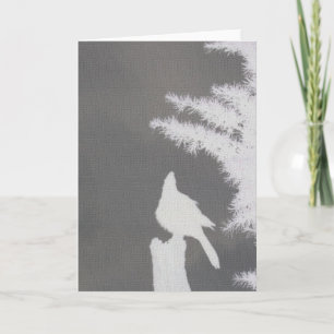 Steller's Jay Silhouette Greeting Card