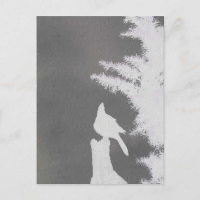 Steller's Jay Silhouette Postcard (Front)