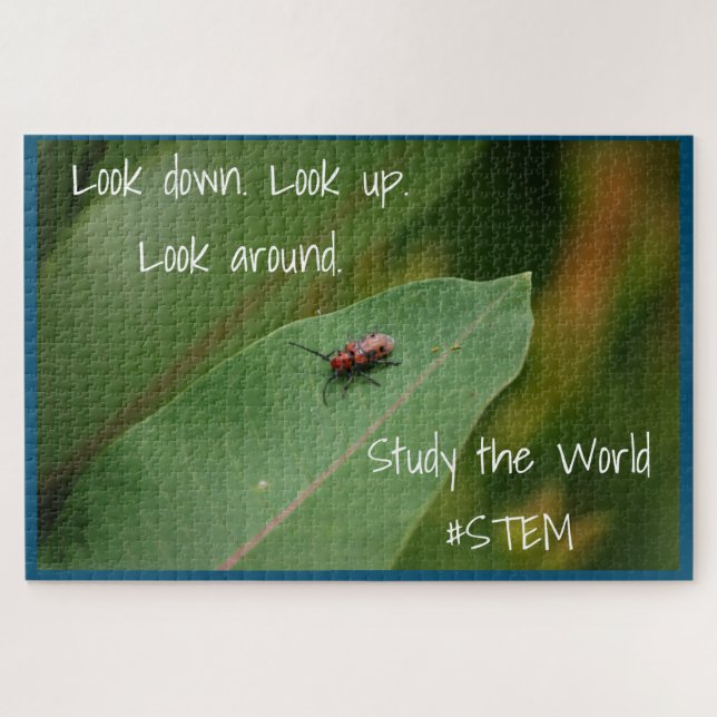 STEM insect leaf nature Jigsaw Puzzle (Horizontal)
