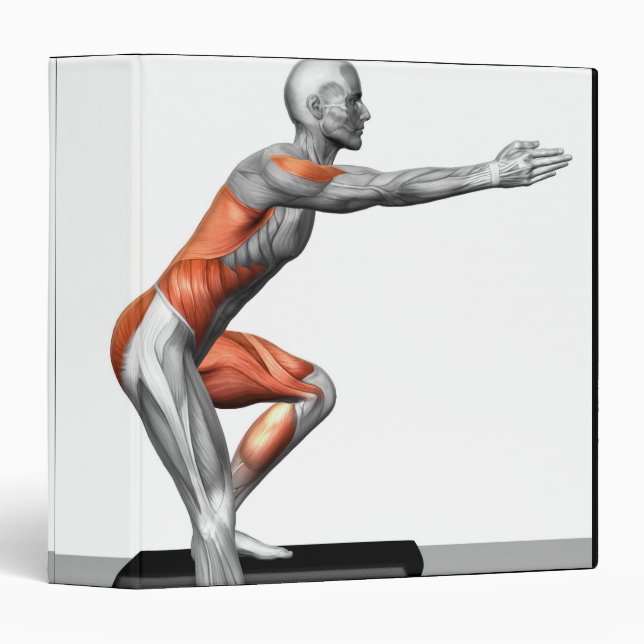 Step-Down Exercises Binder (Front/Spine)