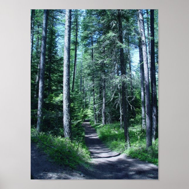 STEPHANEY DAY POSTER (Front)