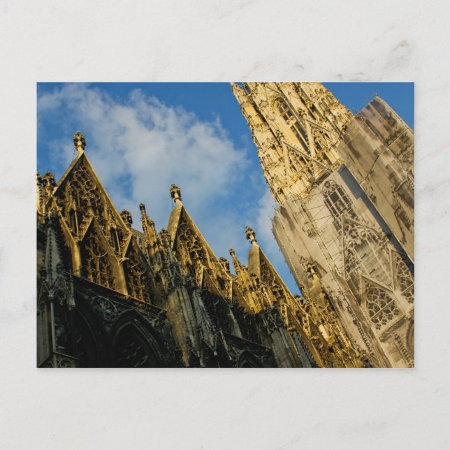 Stephansdom Postcard (Front)