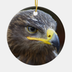 Steppe Eagle Close-Up Portrait Ceramic Ornament