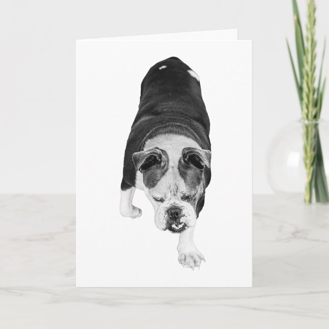 Stepping Dog Sends Warm Motivational Wishes Card (Front)