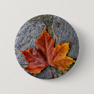 "Stepping into Autumn" 2 Inch Round Button