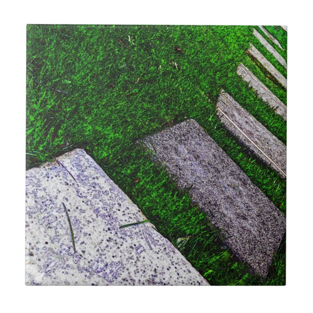 Stepping Stones by Shirley Taylor Tile (Front)