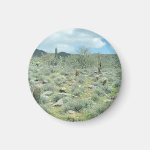 Stepping Stones Decorative Refrigerator Magnet
