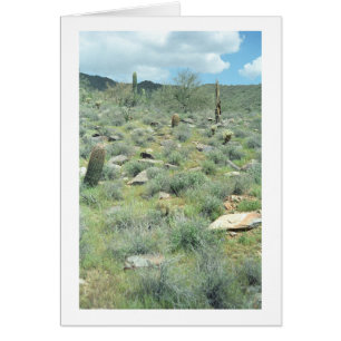 Stepping Stones Desert Greeting Card or Note Card