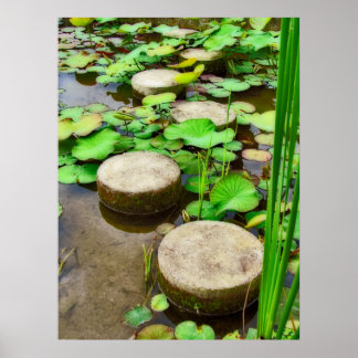 Stepping Stones Poster
