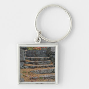 Steps covered in pine needles, White Mountain Keychain