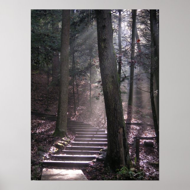 Steps to Enlightenment Poster (Front)