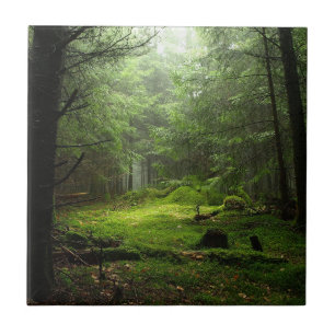 Sterious Forest Tile