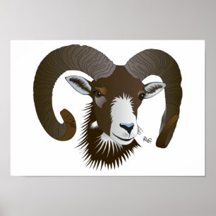 Sternzeichen - Widder Poster