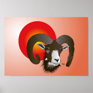 Sternzeichen - Widder Poster