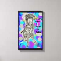 Stetched Canvas Print