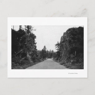 Stevenson Pass, WA View North Bank Highway Postcard