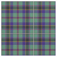 Stevenson Tartan Print