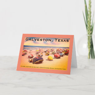 Steward Beach, Galveston, Texas Holiday Card