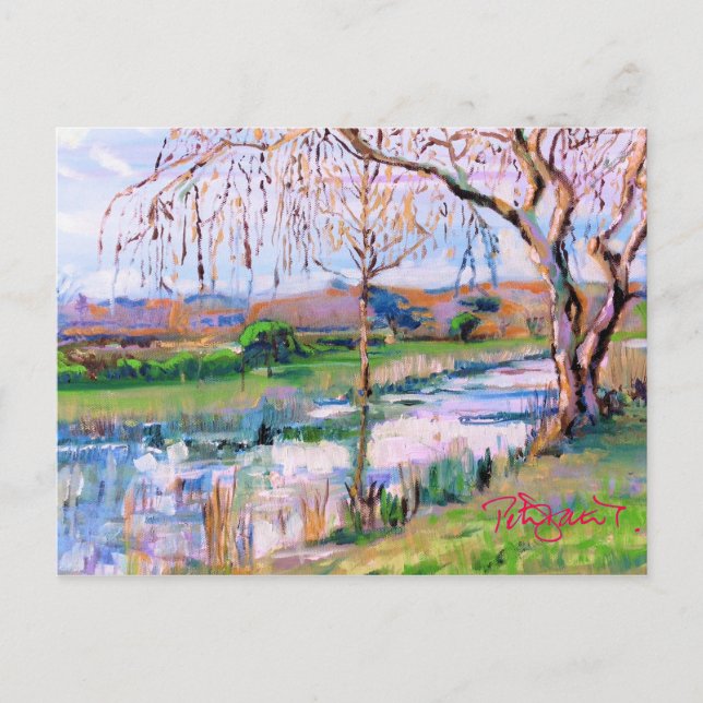 Steyning West Sussex Postcard (Front)