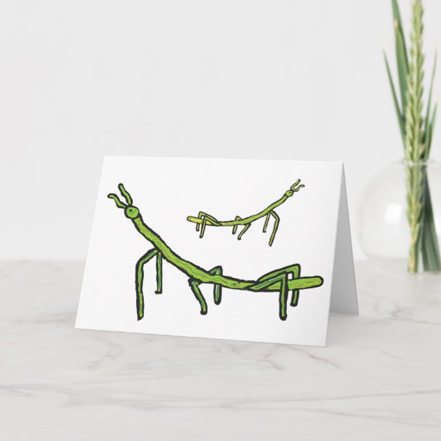 Stick Bug Insect Card (Front)