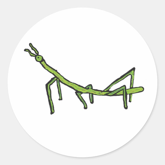 Stick Bug Insect Classic Round Sticker (Front)