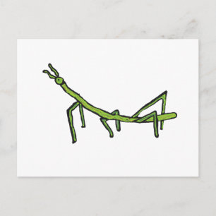Stick Bug Insect Postcard
