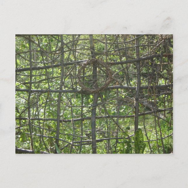 Stick Fence Postcard (Front)