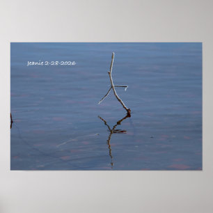 Stick in the water poster
